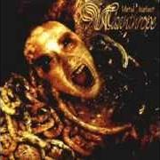 The lyrics REINE MARTYRE of MISANTHROPE is also present in the album Metal hurlant (2005)