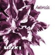 The lyrics MAMA FROG of AMBROSIA is also present in the album Ambrosia (1975)