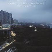 The lyrics WHITE NOISE of MOGWAI is also present in the album Hardcore will never die, but you will (2011)