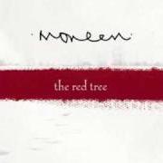 The lyrics THIS IS ALL BIGGER THAN ME of MONEEN is also present in the album The red tree (2006)