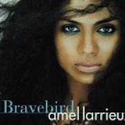 The lyrics FOR REAL of AMEL LARRIEUX is also present in the album Bravebird (2004)