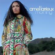 The lyrics TROUBLE of AMEL LARRIEUX is also present in the album Morning (2006)