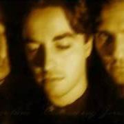 The lyrics A THOUSAND BREATHING CROSSES of MONUMENTUM is also present in the album In absentia christi (1995)