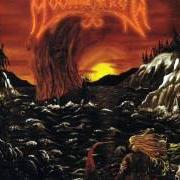 The lyrics SANKARITARINA of MOONSORROW is also present in the album Voimasta ja kunniasta (2001)