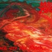 The lyrics BLESSED ARE THE SICK / LEADING THE RATS of MORBID ANGEL is also present in the album Blessed are the sick (1991)