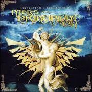 The lyrics THE DISTANCE BETWEEN of MORS PRINCIPIUM EST is also present in the album Liberation = termination (2007)