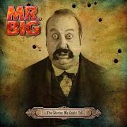 The lyrics THE STORIES WE COULD TELL of MR. BIG is also present in the album ...The stories we could tell (2014)