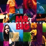 The lyrics I'VE LEARNED MY LESSON of MR. BIG is also present in the album Japandemonium (1994)