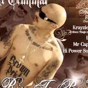 The lyrics LOWRIDE MUZIC of MR. CRIMINAL is also present in the album Rise to power (2008)