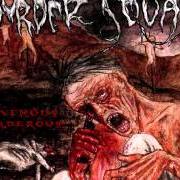 The lyrics EPIDERMAL MASSACRE of MURDER SQUAD is also present in the album Ravenous, murderous (2003)