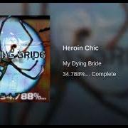 The lyrics UNDER YOUR WINGS AND INTO YOUR ARMS of MY DYING BRIDE is also present in the album 34.788%... complete (1998)