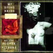 The lyrics THE FOREVER PEOPLE of MY DYING BRIDE is also present in the album As the flower withers (1992)