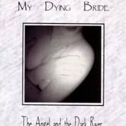 The lyrics FROM DARKEST SKIES of MY DYING BRIDE is also present in the album The angel and the dark river (1995)