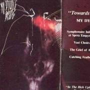 The lyrics THE GRIEF OF AGE of MY DYING BRIDE is also present in the album Towards the sinister (1990)