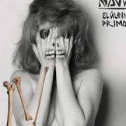 The lyrics JUGUÉ Y GANÉ of NAJWA NIMRI is also present in the album El ultimo primate (2010)