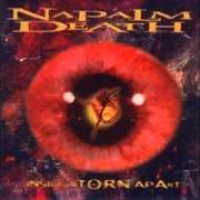The lyrics IF SYMPTOMS PERSIST of NAPALM DEATH is also present in the album Inside the torn apart (1997)