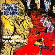 The lyrics MINDSNARE of NAPALM DEATH is also present in the album Harmony corruption (1990)