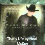 The lyrics HEAD SOUTH of NEAL MCCOY is also present in the album That's life (2005)