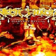 The lyrics STITCH HER FURTHER of NECROPHAGIA is also present in the album Harvest ritual vol. 1 (2005)