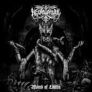 The lyrics PAIMON of NECROPHOBIC is also present in the album Womb of lilithu (2013)