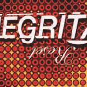 The lyrics HALLELUIA of NEGRITA is also present in the album Reset (1999)