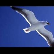 The lyrics ANTHEM of NEIL DIAMOND is also present in the album Jonathan livingston seagull (1973)