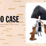 The lyrics HOLD ON, HOLD ON of NEKO CASE is also present in the album Fox confessor brings the flood (2006)