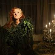 Neon grey midnight green