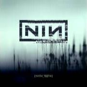The lyrics YOU KNOW WHAT YOU ARE? of NINE INCH NAILS is also present in the album With teeth (2005)