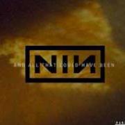 The lyrics SIN of NINE INCH NAILS is also present in the album And all that could have been (2002)