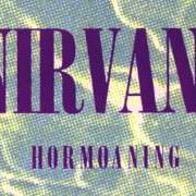 The lyrics MOLLY'S LIPS of NIRVANA is also present in the album Hormoaning (1992)
