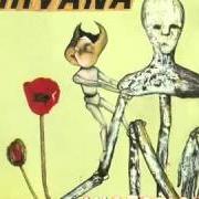 The lyrics NEW WAVE POLLY of NIRVANA is also present in the album Incesticide (1992)