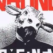 The lyrics I AM WRONG of NOMEANSNO is also present in the album Wrong (1988)