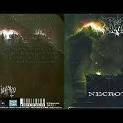 Necrotical Necrotical