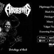 The lyrics BLACK EMBRACE of AMORPHIS is also present in the album Privilege of evil (1993)