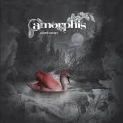 The lyrics A SERVANT of AMORPHIS is also present in the album Silent waters (2007)