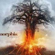 The lyrics HIGHEST STAR of AMORPHIS is also present in the album Skyforger (2009)