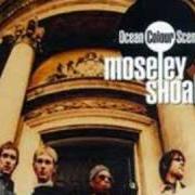 Moseley shoals