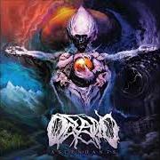 The lyrics DAWN OF DESCENT of OCEANO is also present in the album Ascendants (2015)