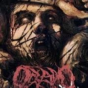 The lyrics BLASPHEMOUS MASK of OCEANO is also present in the album Incisions (2013)