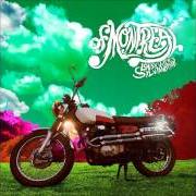 The lyrics TRIUMPH OF DISINTEGRATION of OF MONTREAL is also present in the album Lousy with sylvianbriar (2013)