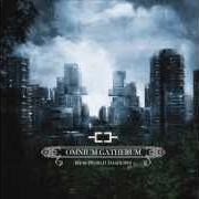 The lyrics SOUL JOURNEYS of OMNIUM GATHERUM is also present in the album New world shadows (2011)