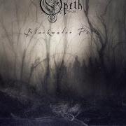 Blackwater park