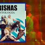 The lyrics CONEXIÓN of ORISHAS is also present in the album Antidiotico