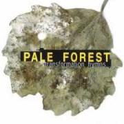 The lyrics PUNY MINDS of PALE FOREST is also present in the album Transformation hymns (1998)