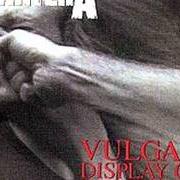 The lyrics A NEW LEVEL of PANTERA is also present in the album Vulgar display of power (1992)