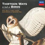 The lyrics MURMURATION of PAUL KELLY is also present in the album Thirteen ways to look at birds (feat. alice keath & seraphim trio) (2019)