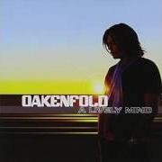 The lyrics AMSTERDAM of PAUL OAKENFOLD is also present in the album A lively mind (2006)