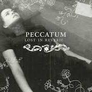The lyrics PARASITE MY HEART of PECCATUM is also present in the album Lost in reverie (2004)