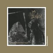 The lyrics A MOURNFUL BRIDGE OVER A RIVER OF TEARS of PENITENT is also present in the album The beauty of pain (1997)